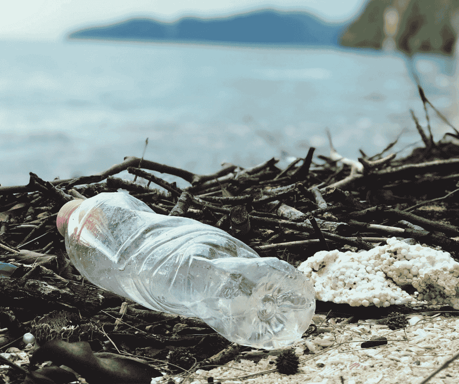 Mülltrennung, Styropor, Plastikflasche, Meer, Umwelt, Abfall, Entrümpelung, Recycling